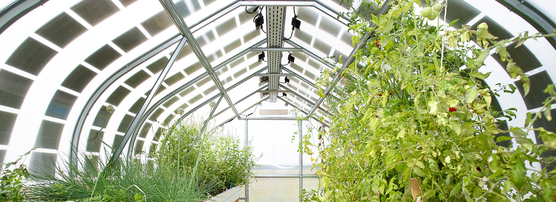 Viennese greenhouses equipped with DAS Energy PV modules