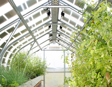 Viennese greenhouses equipped with DAS Energy PV modules Viennese greenhouses equipped with DAS Energy PV modules