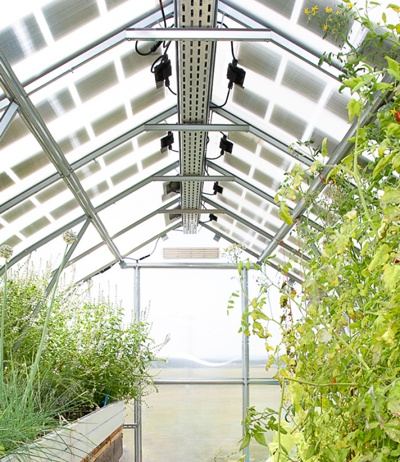 Viennese greenhouses equipped with DAS Energy PV modules